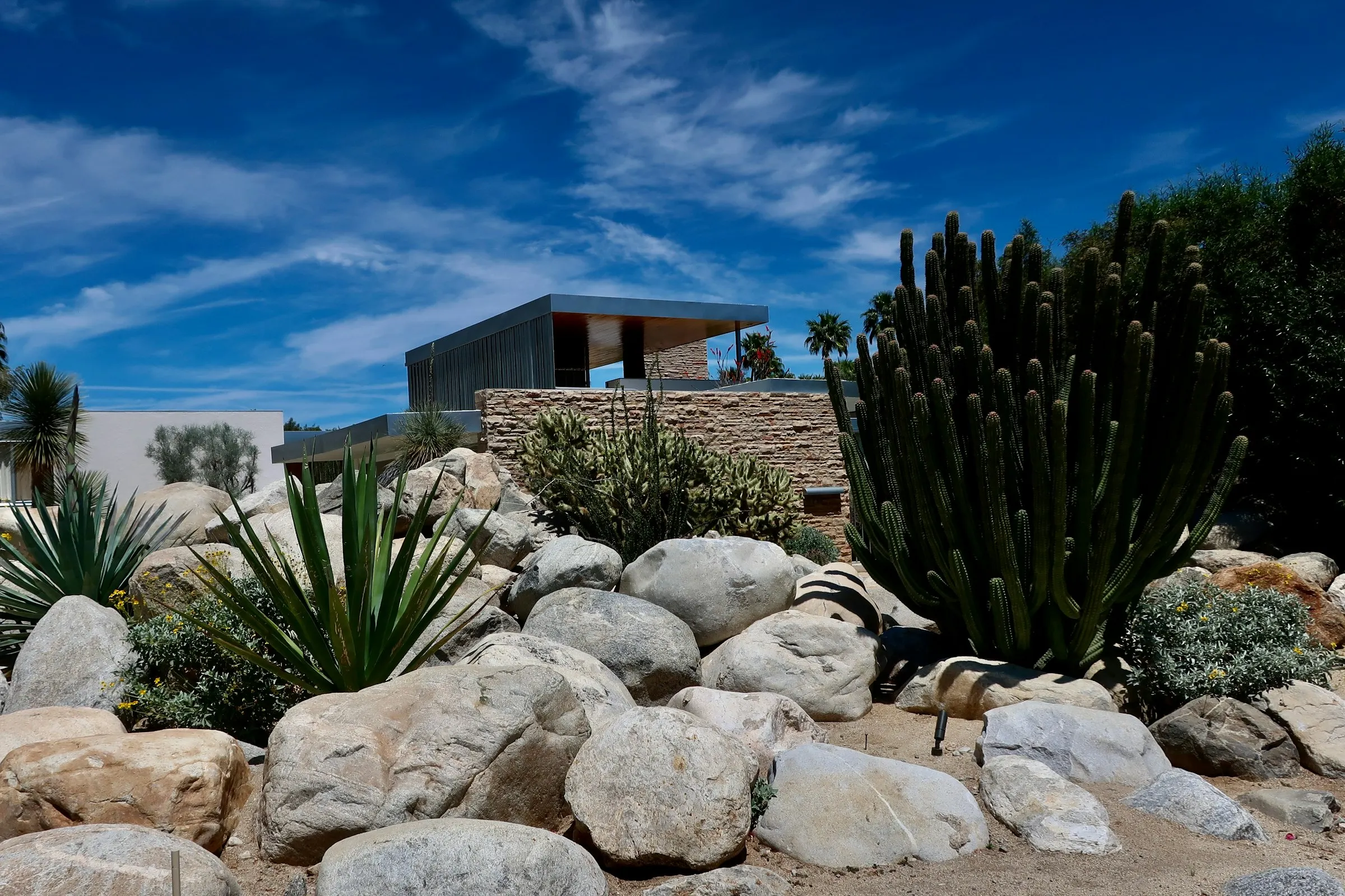 Pale boulders, agave, and desert shrubs in front of a contemporary home