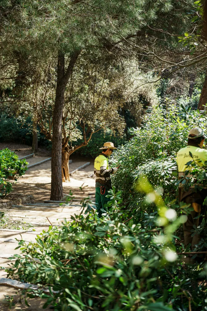 Grounds crew in hi-vis shirts trimming shrubs along a path