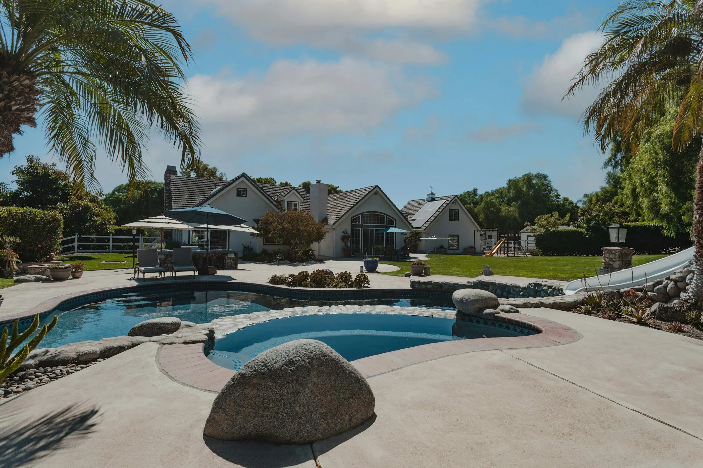 Backyard pool with a large boulder, palms, and surrounding planting