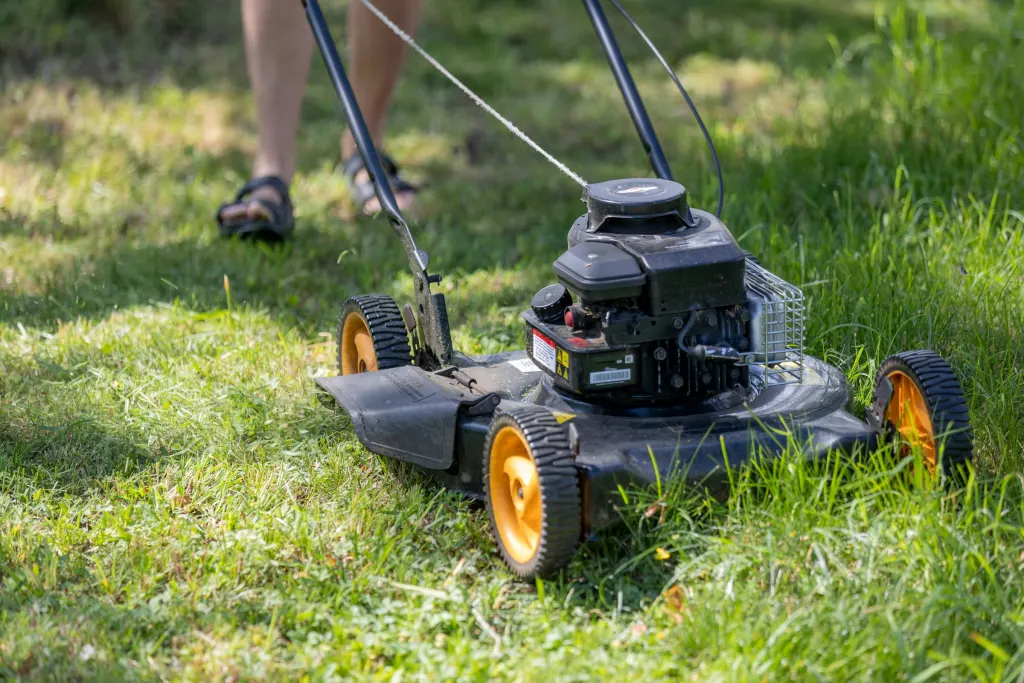 Push mower cutting a green lawn