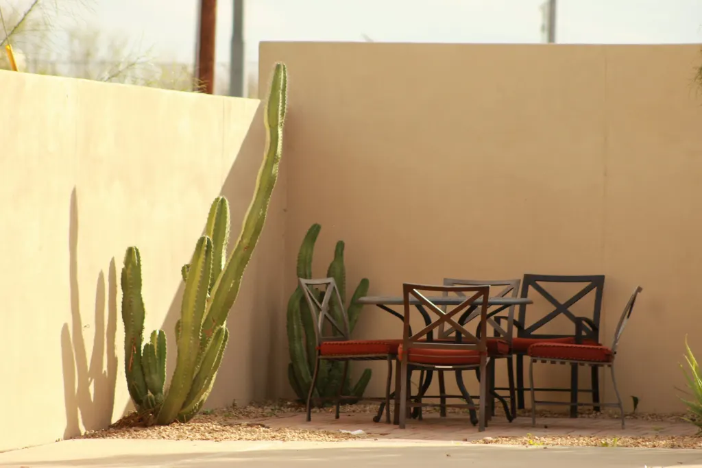 Patio table and chairs beside tall cacti against a warm beige wall