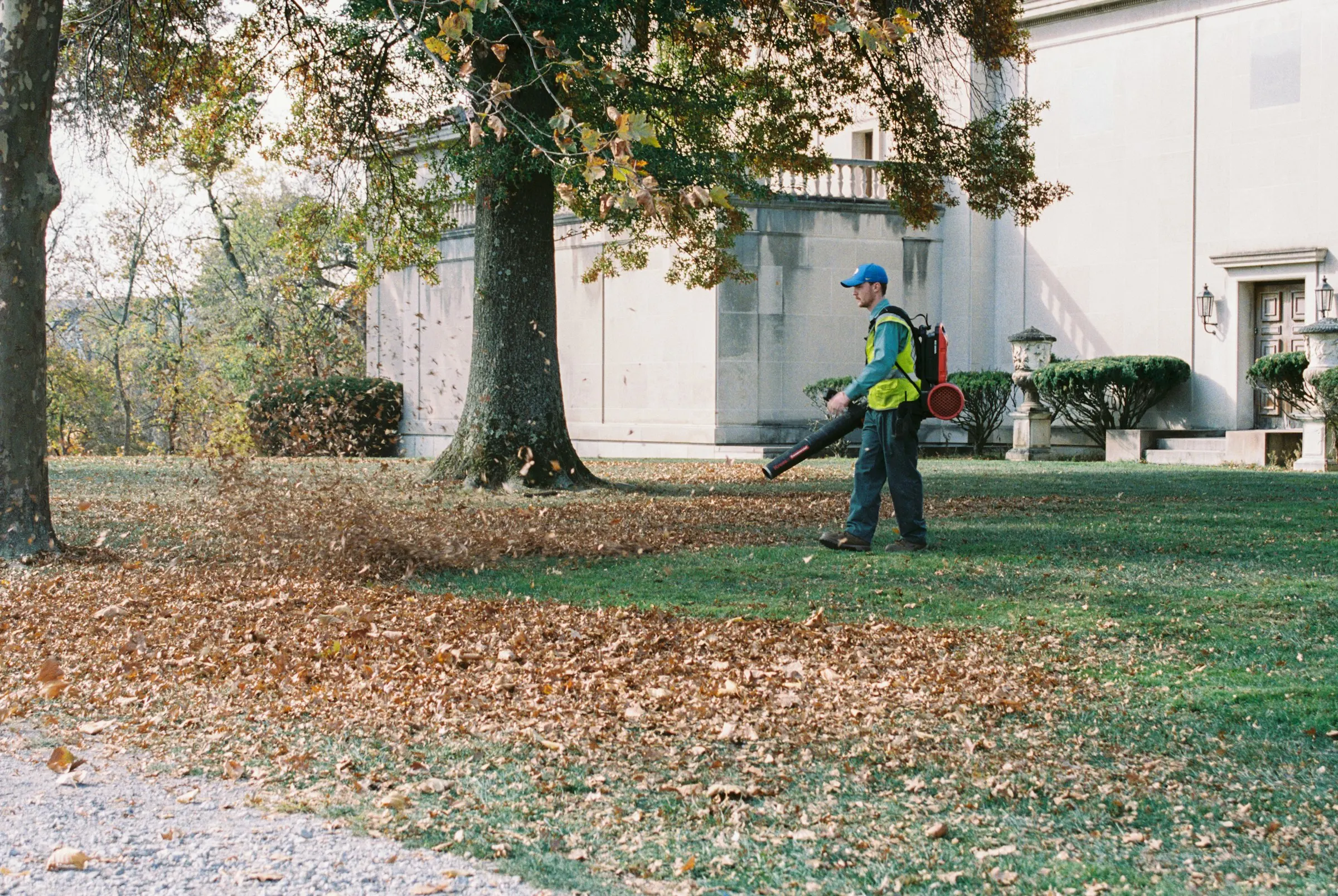 Worker using a backpack leaf blower to clear leaves from a yard